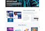 make you a perfect wordpress website